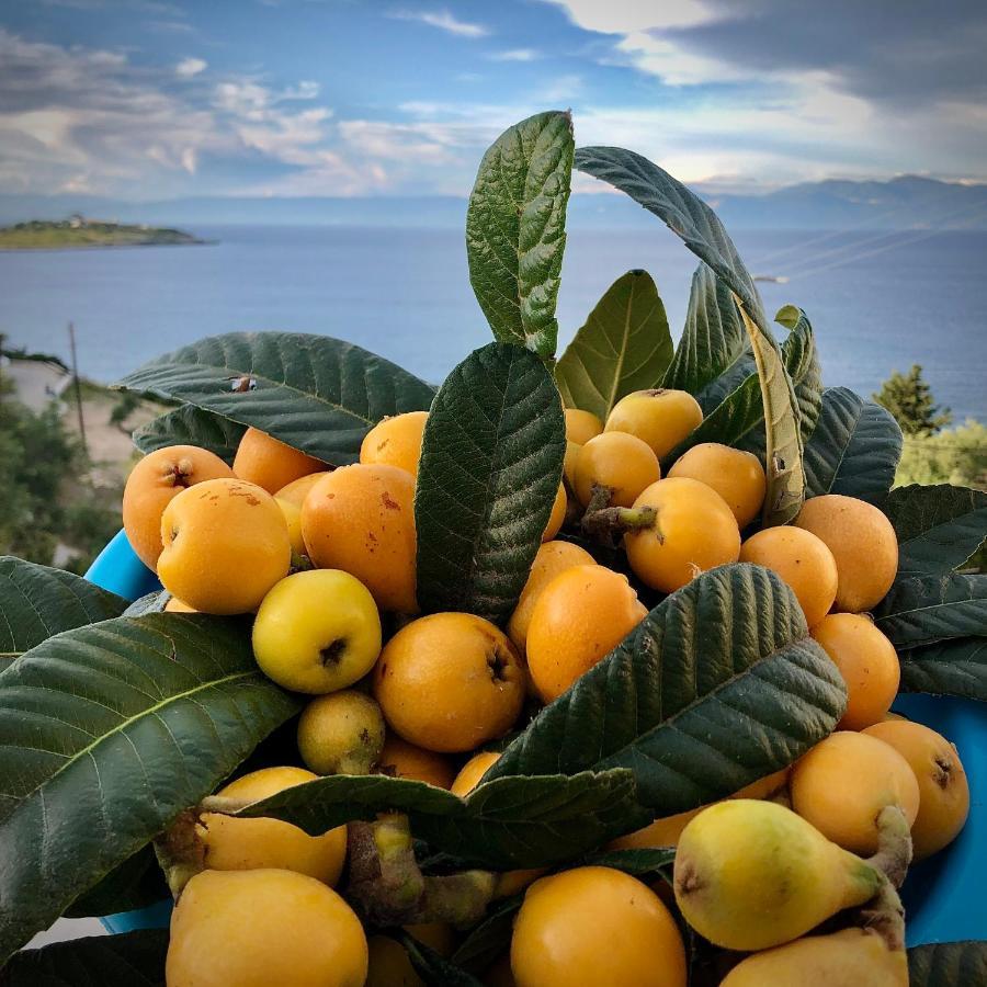 Villa Avgerini Paxos Gaios Bagian luar foto